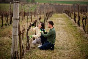 couple-working-vineyard-early-spring