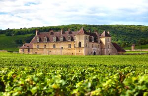 Burgundy, France - September 10, 2013: Landscape view of a typical sunlit vineyard in Burgundy, France with Chateau Clos Du Vougeot, stone walls and hills in the background