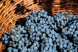 grapes-wicker-basket