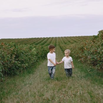 Children playing. Brothres in a field.